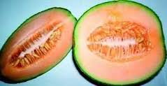 meloun cantaloupe
